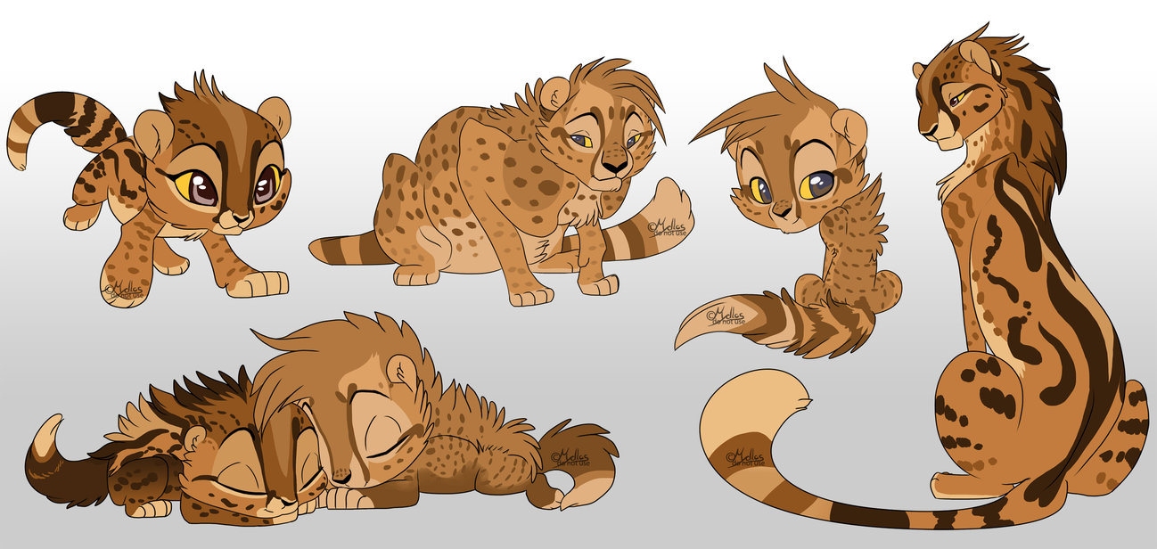 1298x616 Daquiri's Cheetah Cubs By Mydlas
