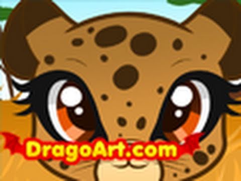 480x360 How To Draw A Cheetah For Kids, Cheetah, Step By Step