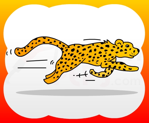 503x415 How2draw4kids How To Draw Cheetah For Kids