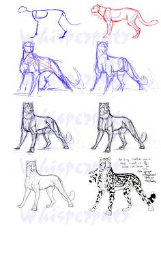 236x395 How To Draw Animal Gestures Rhythm Skeleton Articles