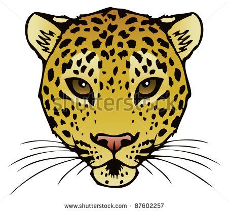 Cheetah Face Drawing at GetDrawings | Free download