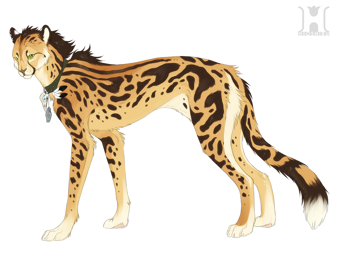 1175x915 King Cheetah Design By On @