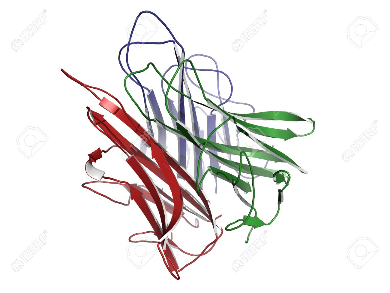 1300x975 Chemical Structure Of Tumor Necrosis Factor (Tnf, Cachexin