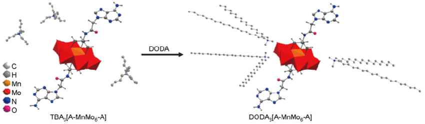 850x249 Schematic Chemical Drawing Of [A Mnmo 6 A] For The Substitution