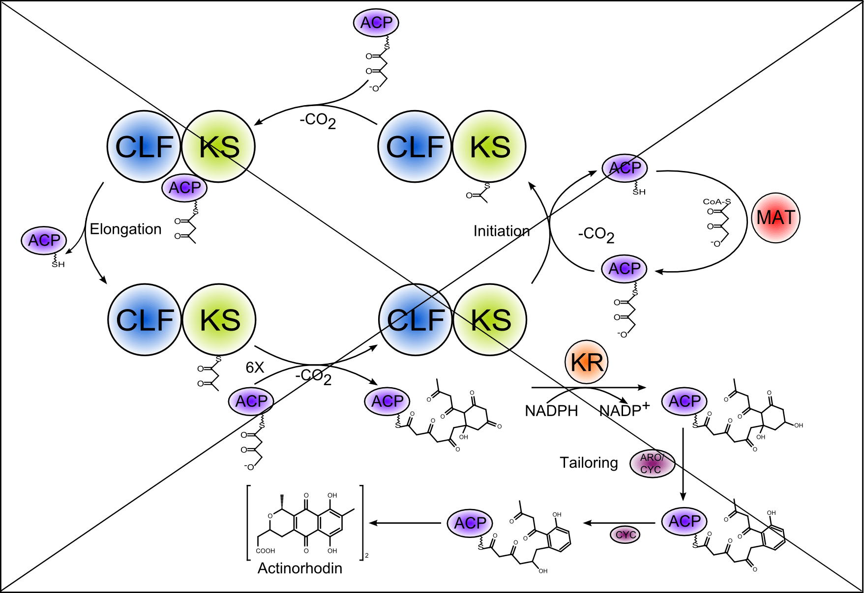 1757x1207 Using Inkscape For Chemical Structurepathway Drawing