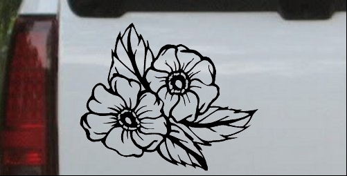 Cherokee Rose Drawing at GetDrawings | Free download