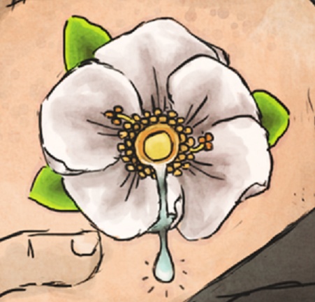 451x433 Cherokee Rose Tattoos