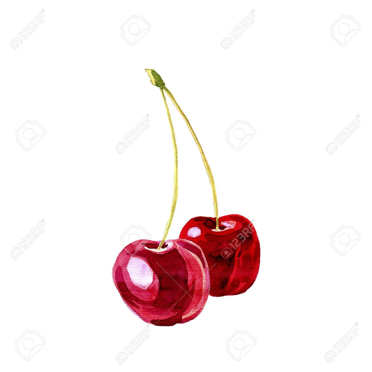 1300x1300 Watercolor Drawing Two Cherries, Artistic Painting Berries, Hand