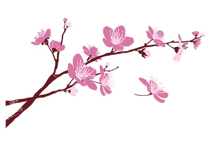 680x472 Cherry Blossom Branch Cherry Blossom Branch 02 Wall Decal