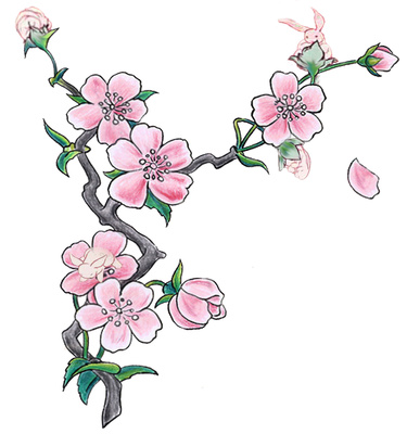 375x400 Cherry Blossom Illustration Pink Flowers Clipart Just Free Image
