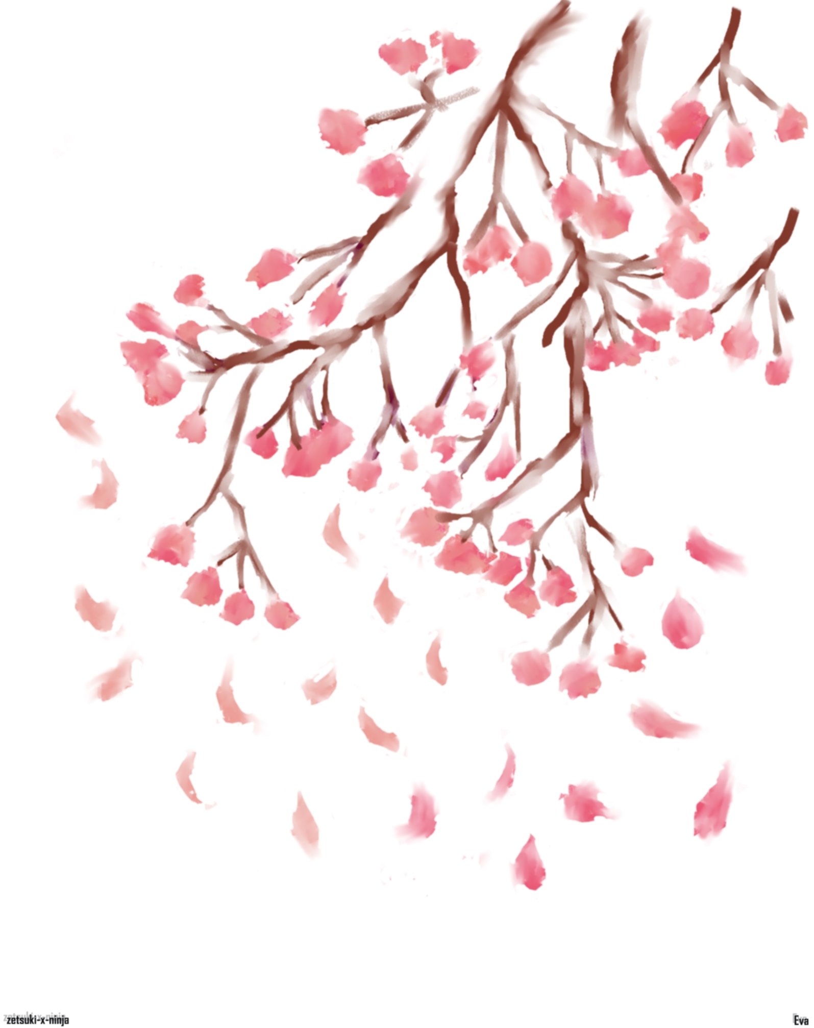 1595x2014 Cherry Blossoms 2 By Zetsuki X Ninja