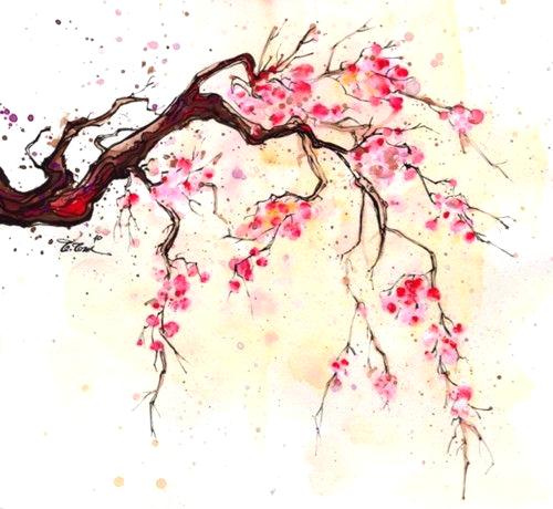 500x460 Sakura Tree Drawing Cat Tree By Cherry Blossom Tree Drawing Pencil