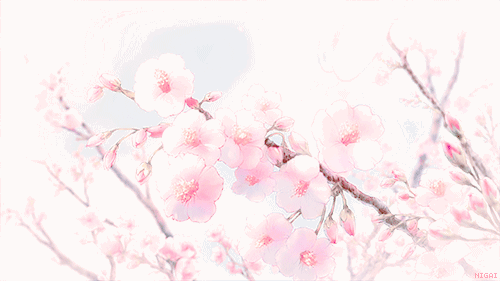 500x281 Anime Beautiful Tree Tumblr
