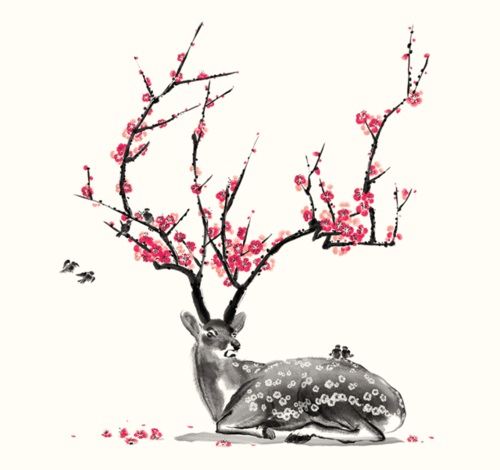 500x470 Art, Bird, Cherry, Cherry Blossom, Deer, Flower