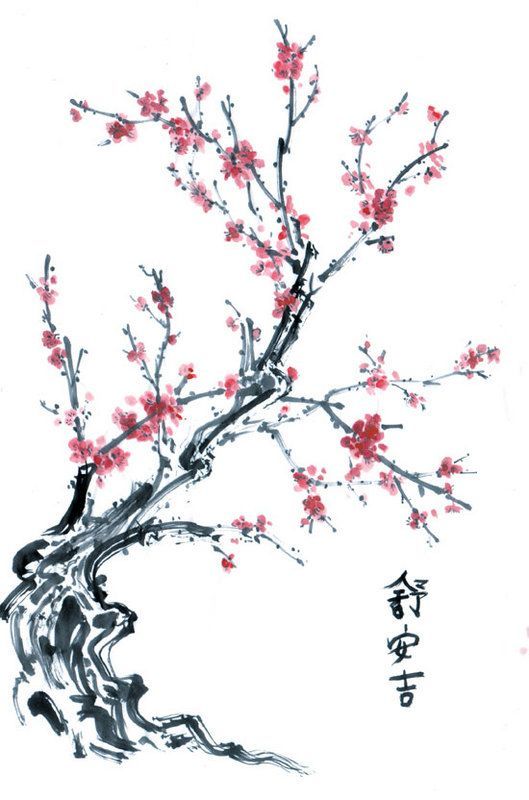 529x800 This Is The Extra Cool Chinese Tree Pink Blossom Wallpaper