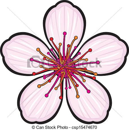450x453 Cherry Blossom Flower Vectors Illustration