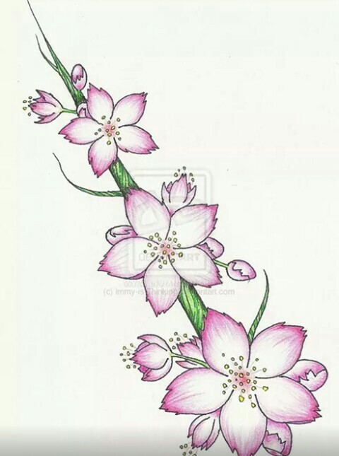 480x645 Pin By Nafiye On Desenler 2 Bullet