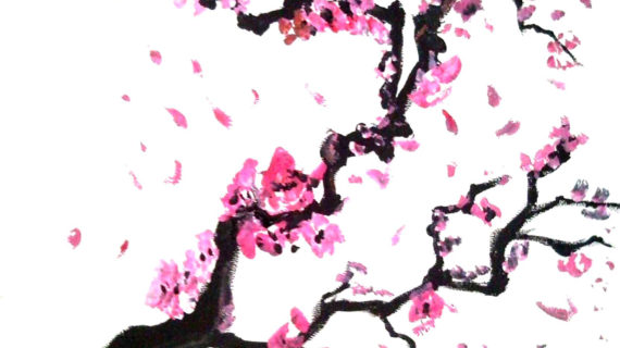 570x320 Cherry Blossom Tree Drawing Would Like Cherry Blossoms Done