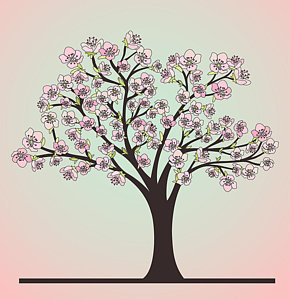 290x300 Cherry Blossom Tree Drawings Fine Art America