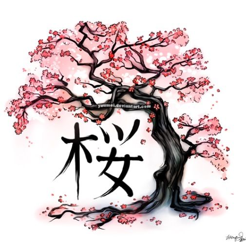 505x497 Drawing Cherry Blossom Tree Template