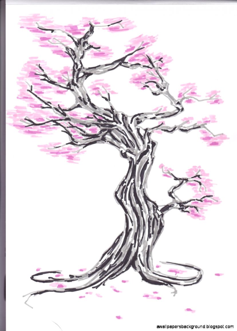 828x1158 Cherry Blossom Tree Drawing Step By Step Wallpapers Background