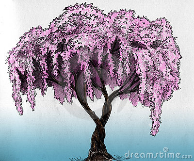 400x332 Sakura (Cherry, Plum Of Apple Tree) In Blossom. Pencil Drawing