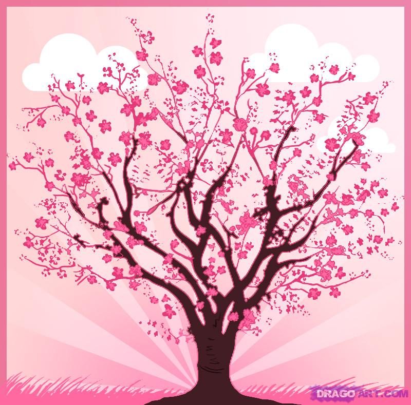 800x789 How To Draw A Cherry Tree, Step By Step, Trees, Pop Culture, Free