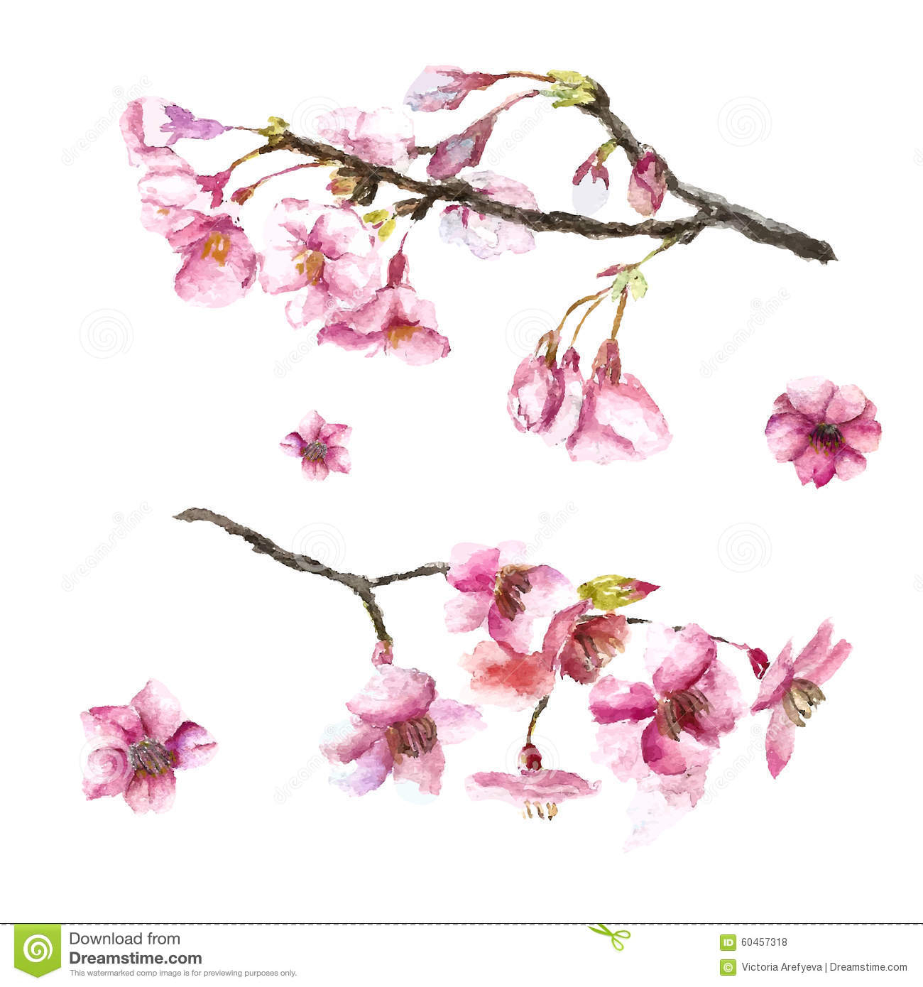 1300x1390 Sakura Flower Drawing Drawn Flower Cherry Blossom