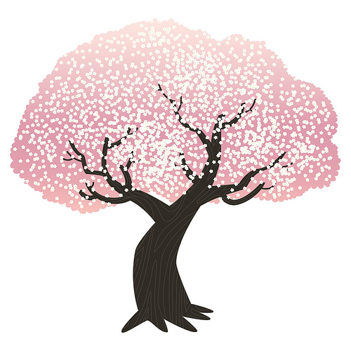 500x500 Cherry Blossom Tree Drawing Cherry Cherries