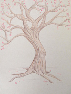 228x300 Cherry Blossom Tree Drawings Fine Art America