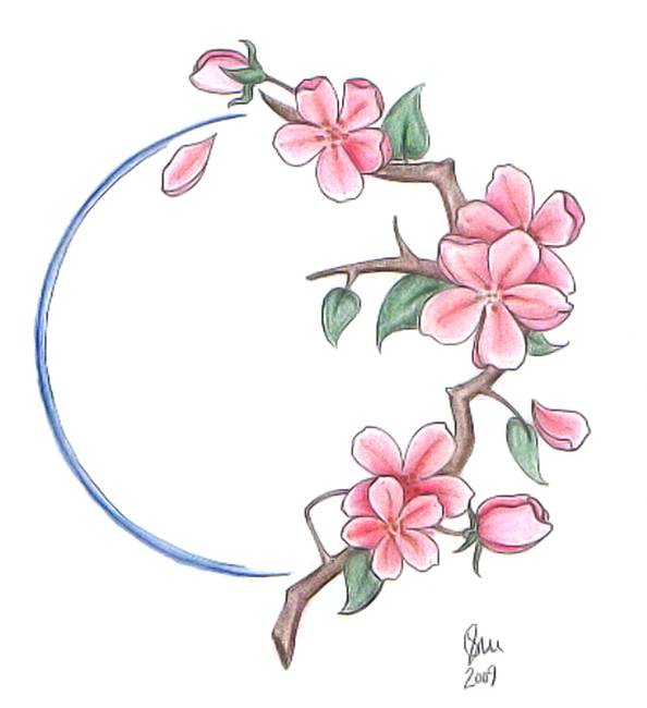 594x650 Drawing Cherry Blossom Pencil Drawings And Illustrations