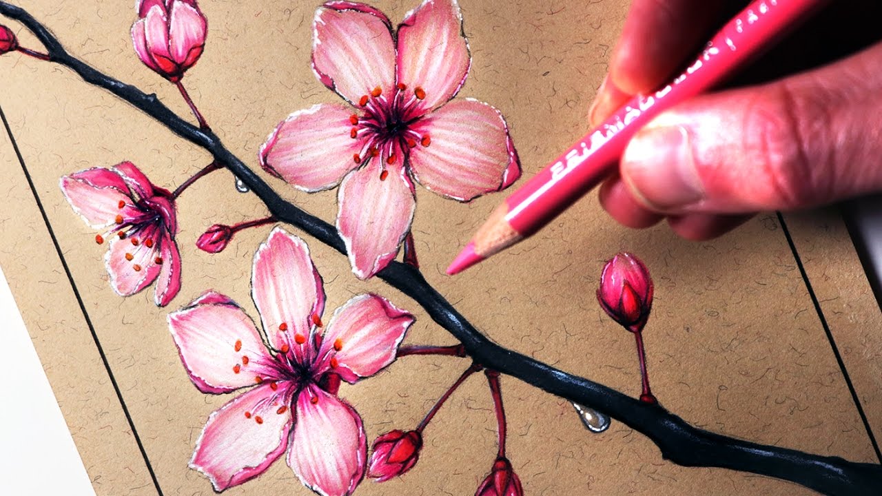 1280x720 How To Draw Cherry Blossoms