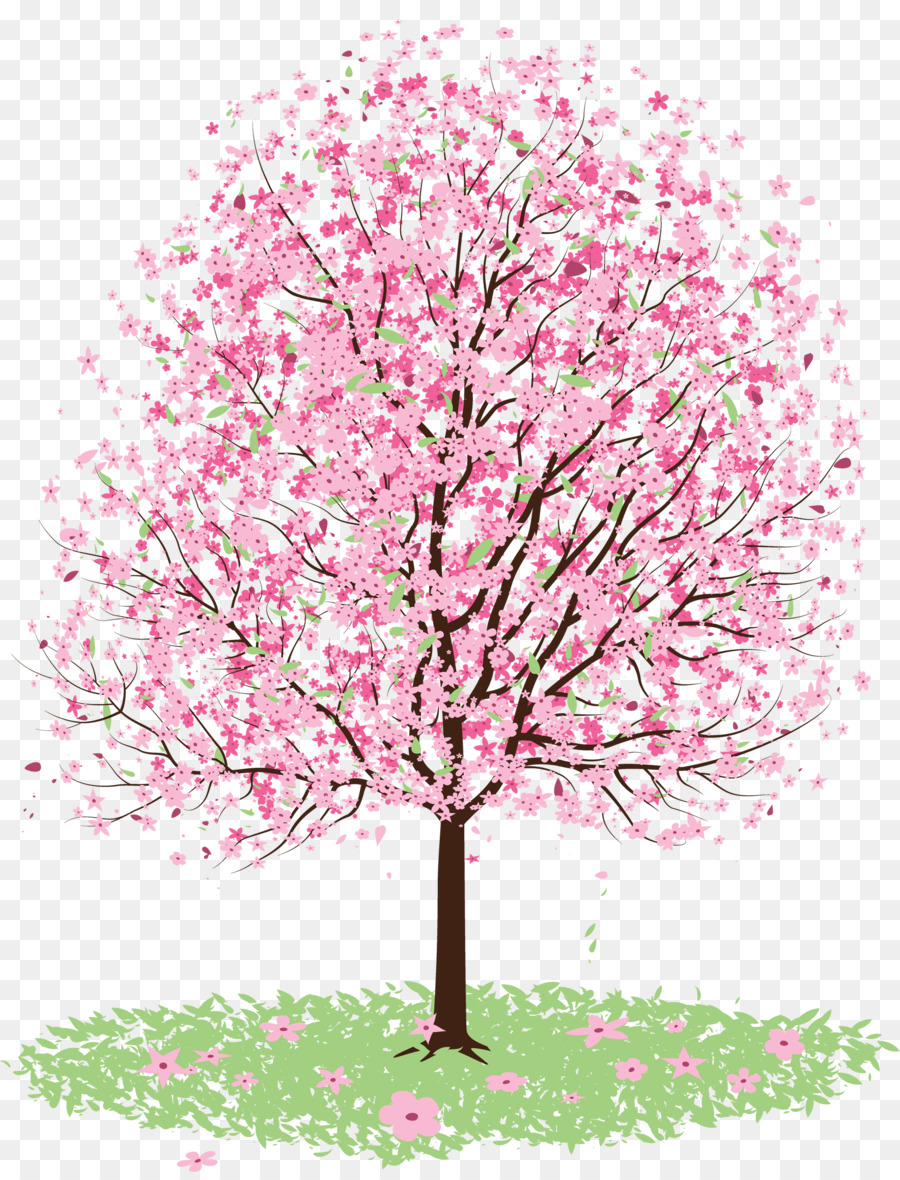 900x1180 Cherry Blossom Tree Drawing