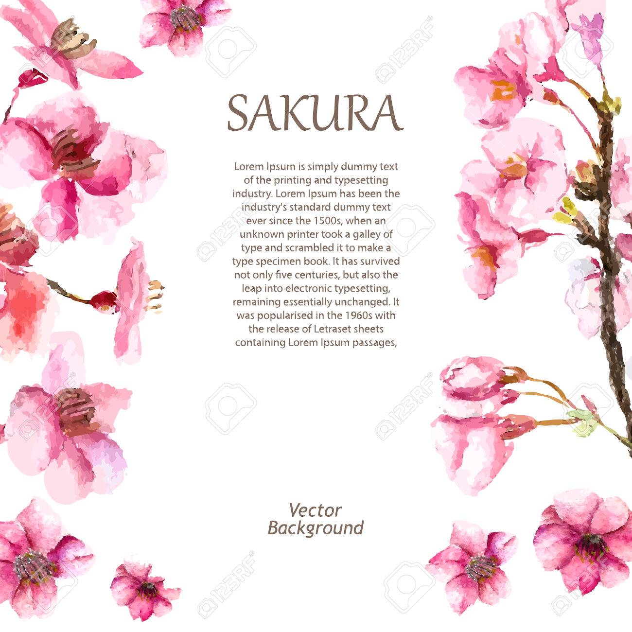 1300x1300 Watercolor Cherry Blossom. Hand Draw Cherry Blossom Sakura Branch