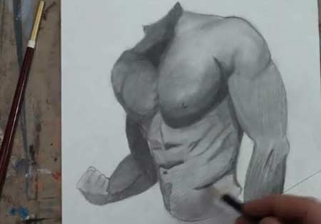 450x314 How To Draw The Male Torso