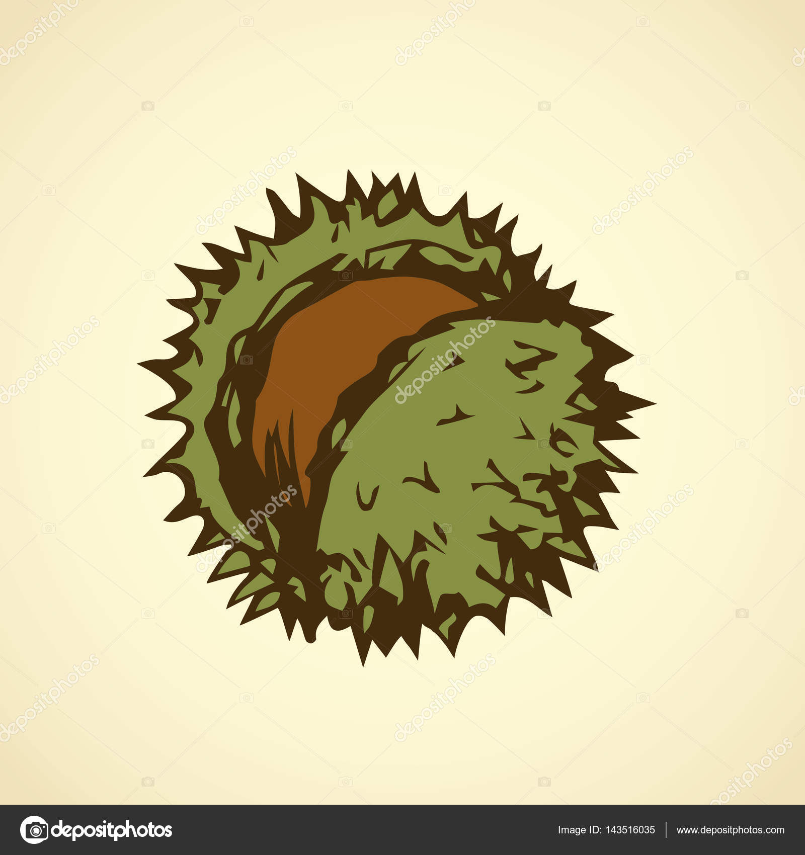 1600x1700 Chestnut. Vector Drawing Stock Vector Marinka
