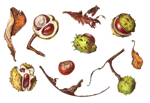 500x342 Iver Sigrid De Vries