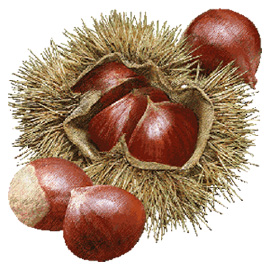 270x270 A Tree Grows In Brookline February 2011 Archives