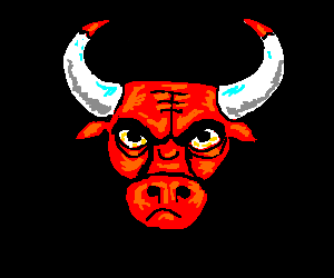 300x250 Chicago Bulls Logo