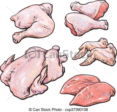 450x433 Set Chicken On A White Background. Chicken Meat Set Of Vector