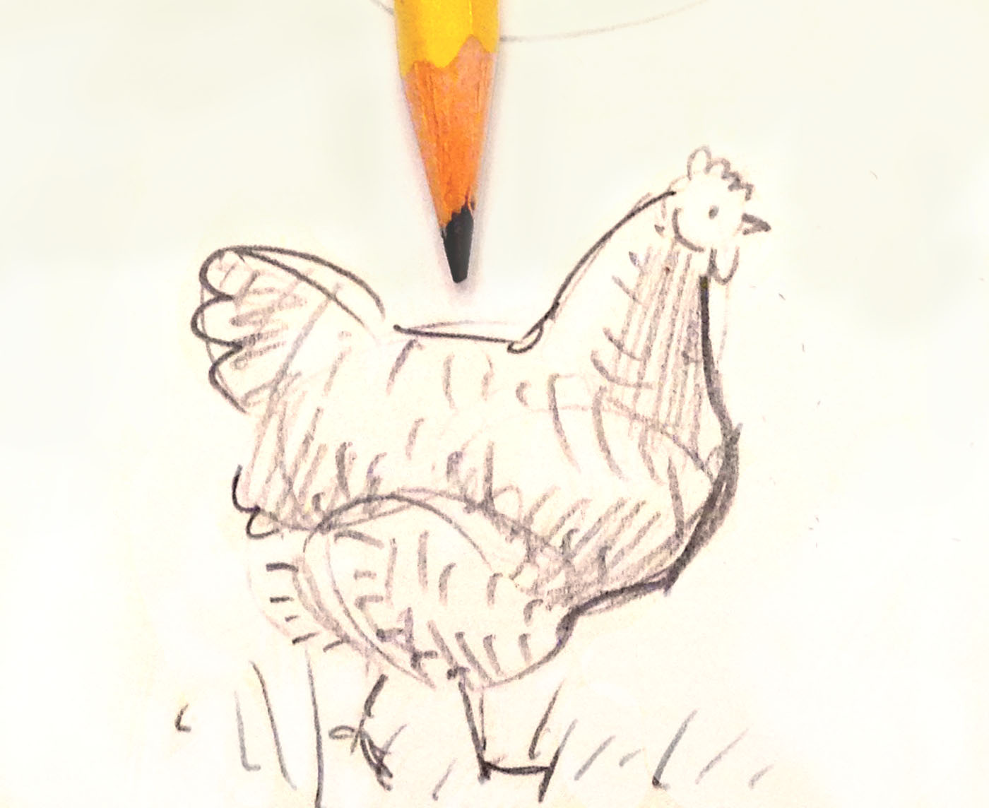 1400x1144 Scratch And Peck How To Draw A Chicken