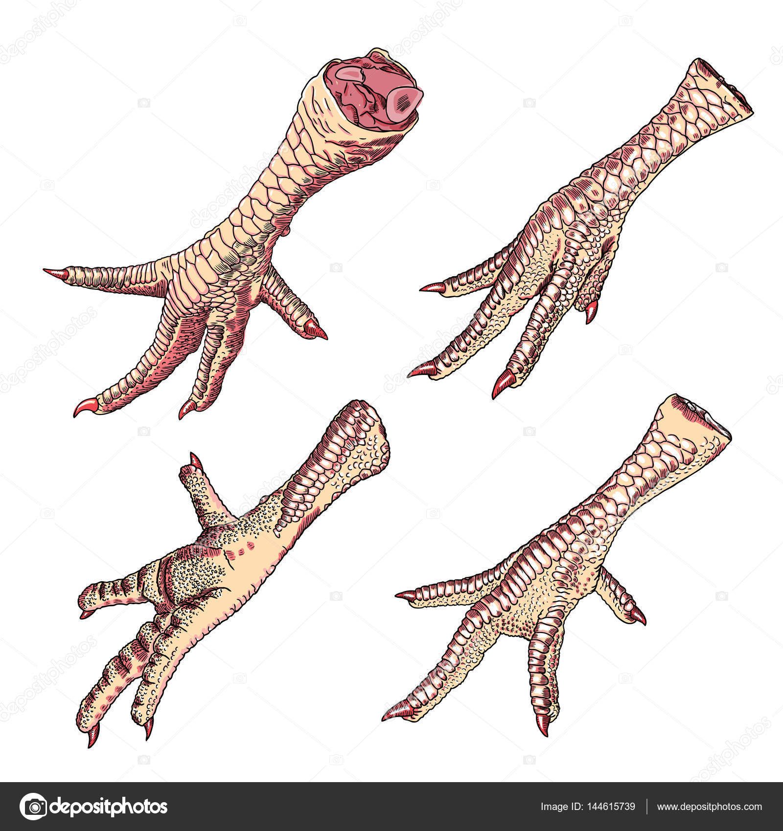 1600x1700 Set Of Chicken Feet Stock Photo Goldenshrimp