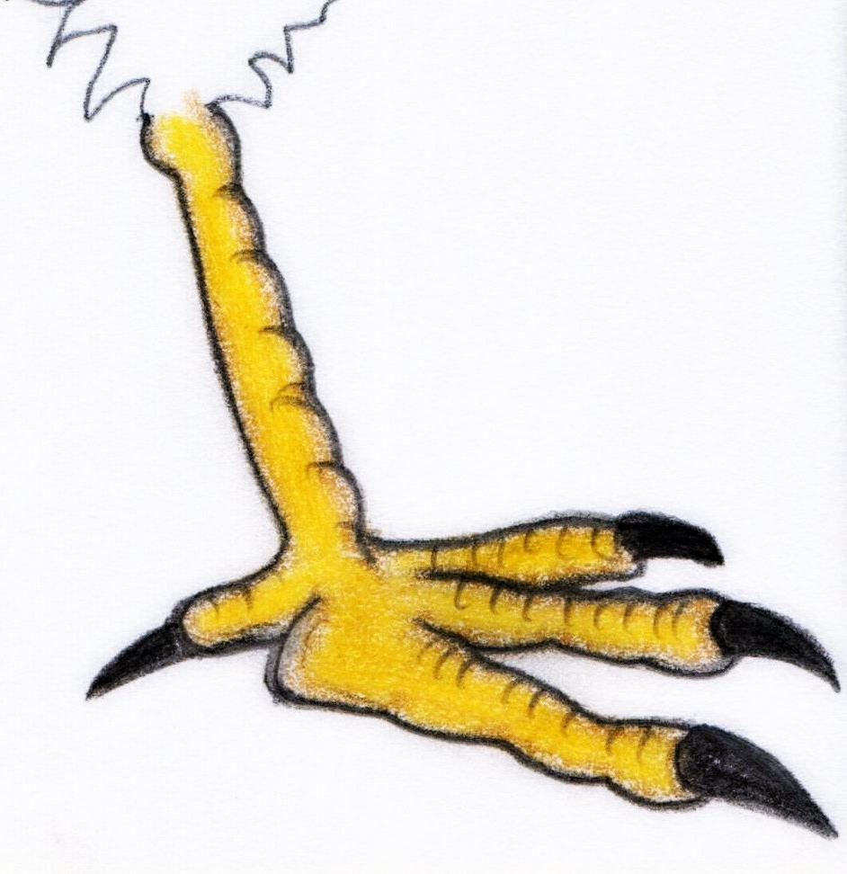 942x972 Chicken Foot Giant Hamburger