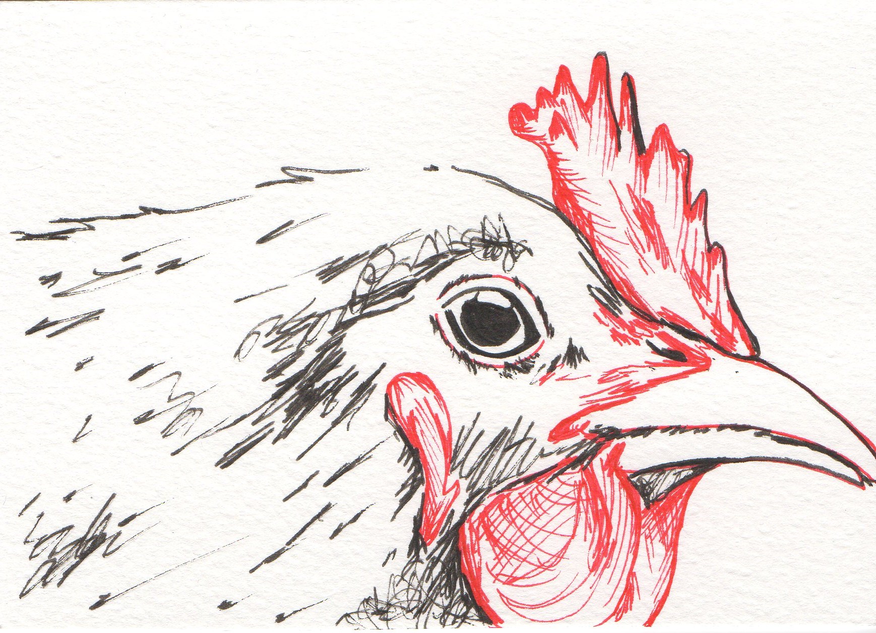 1738x1256 Original Art, Chicken Drawing Signed By The Artist Dr. Nice Dr. Nice