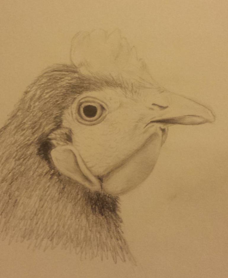 770x938 Saatchi Art The Chicken Head Drawing By Paige Hinkle