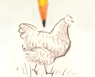 320x261 How To Draw A Chicken Scratch And Peck Blog Fun