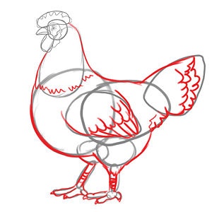 300x300 Draw A Chicken Drawings, Paintings And Bird