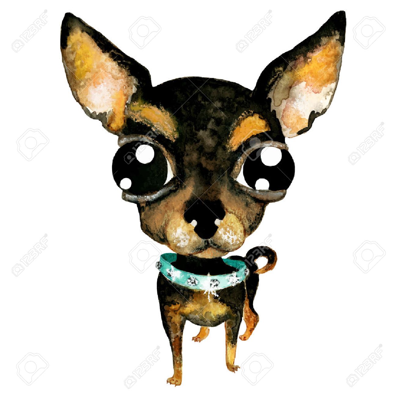 1300x1300 Vector Watercolor Hand Drawn Cute Chihuahua. Little Dog In Collar