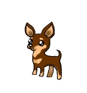 304x325 Chihuahua Drawings