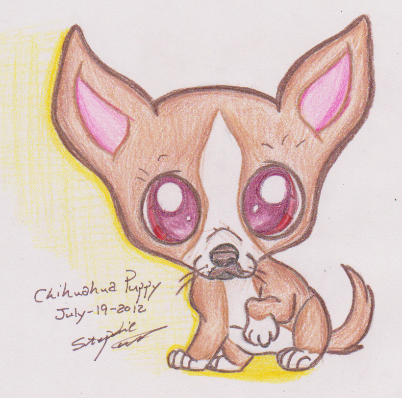 820x812 Chihuahua Puppy Drawing